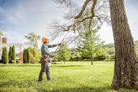 Mulching Services in Shippensburg University, PA